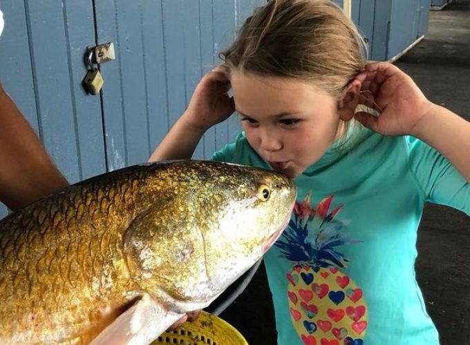 Half-Day Jetty Fishing Trip from Galveston