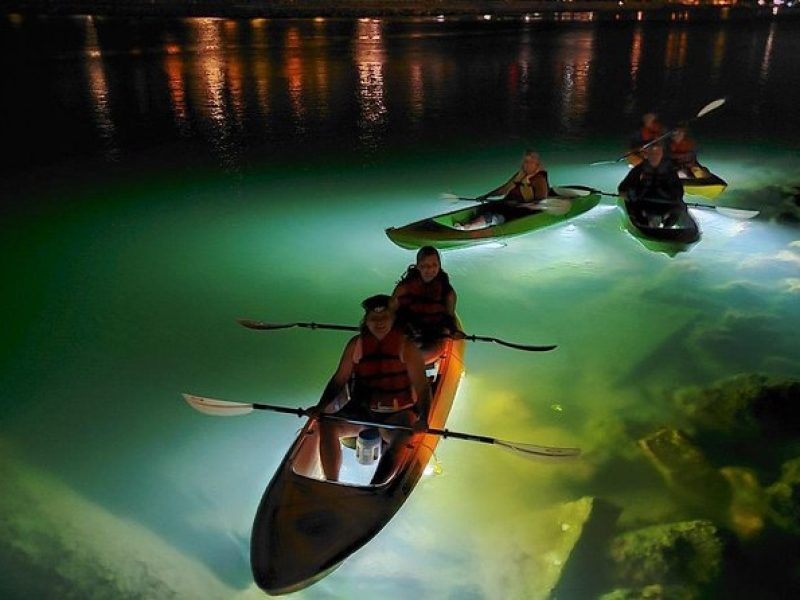 Sharkeys Glass Bottom Fish Feeding LED Night Tour St. Pete Beach