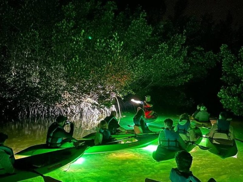 Sharkey's Glass Bottom Fish Feeding LED Night Tour in Sarasota