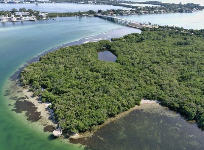 Glass Bottom Kayak Mangrove Tunnel & Sandbar Adventure Sarasota