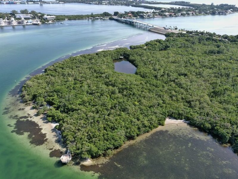 Glass Bottom Kayak Mangrove Tunnel & Sandbar Adventure Sarasota