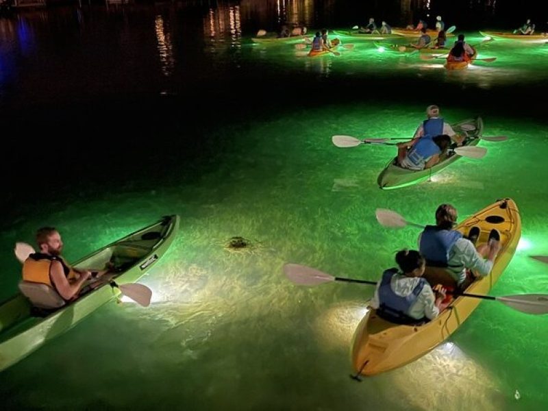 Sharkey's Glass Bottom Fish Feeding LED Night Tour in Clearwater