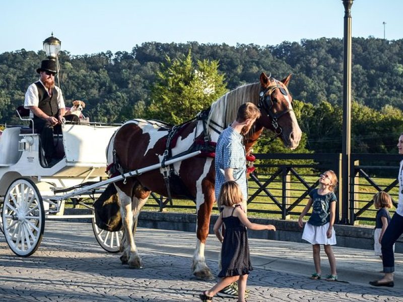 Private Chattanooga Horse & Carriage Tour