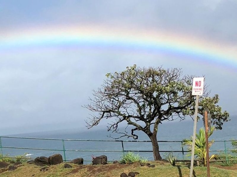 Maui Tour : Iao Valley, Hawaiian Distillery and Lavender Farm Tour