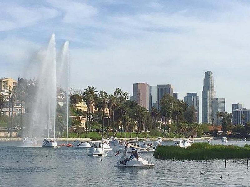 Swan Boat Rental in Echo Park