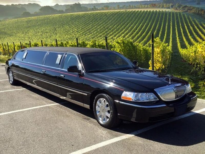 6 Hour Napa or Sonoma Wine Tour in Private Limousine