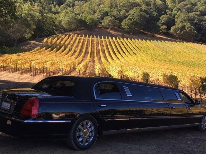 6-Hour Luxury Napa Wine Tasting Tour with Route Planning