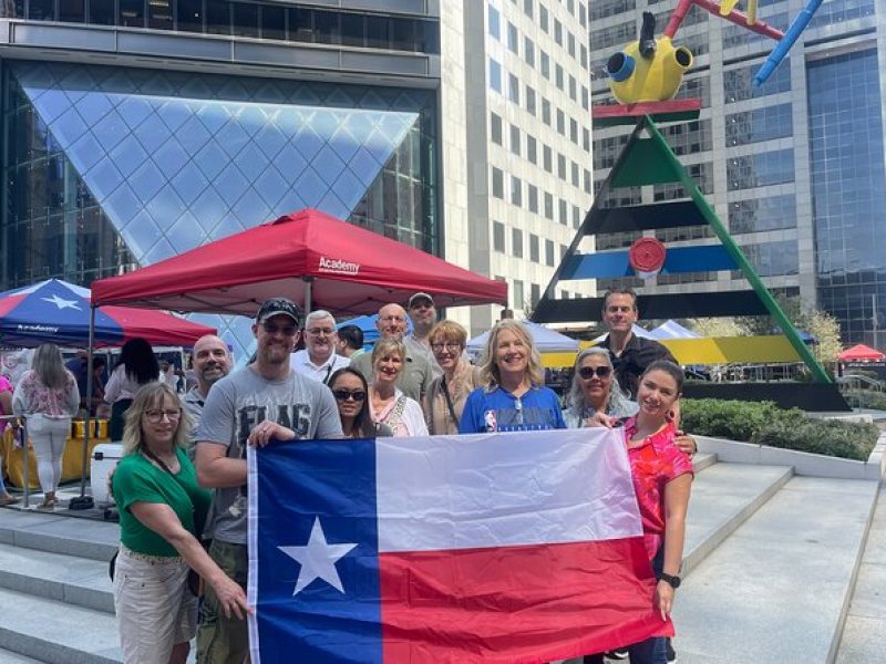 Astroville Private Best of Houston Driving Tour with Live Guide