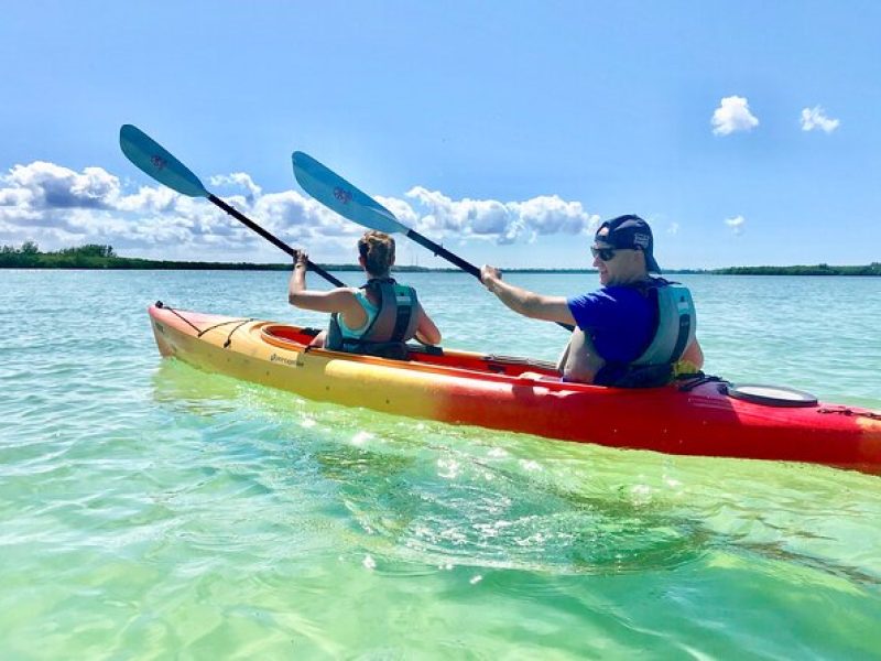 Small Group Kayak Tour of the Shell Key Preserve