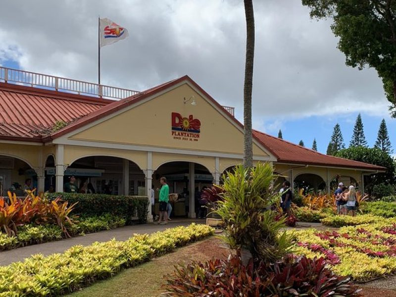 Oahu Tour – Dole, Haleiwa, Sunset Beach, Punchbowl