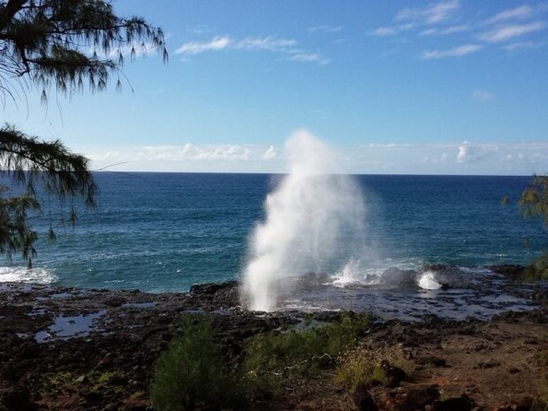 Kauai Shore Excursion – Waimea Canyon Adventure Tour – Nawiliwili