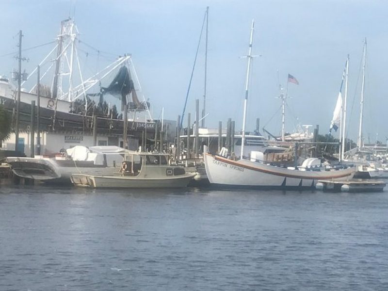 Sponge Dock Stroll