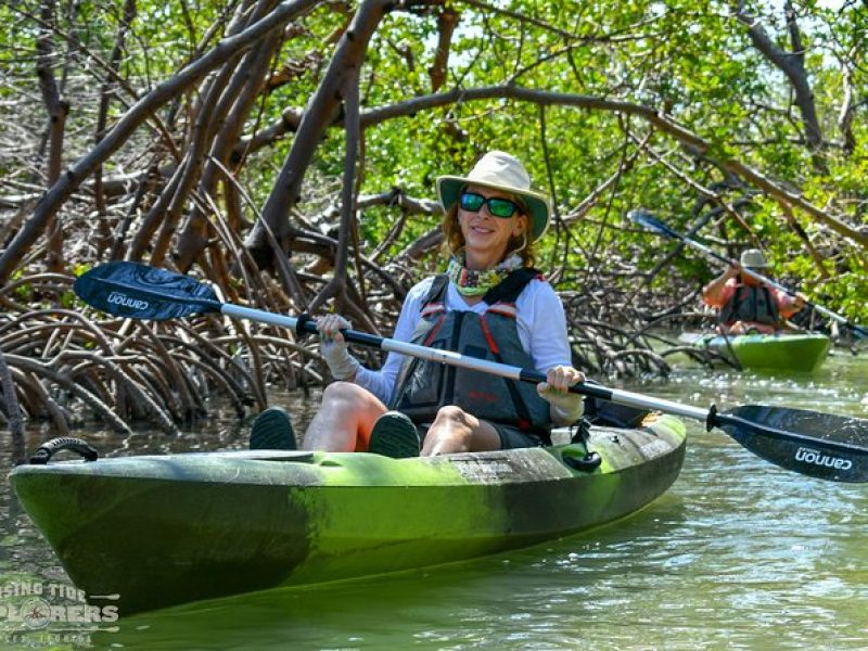 Mangrove Tunnels & Mudflats Kayak Tour – Local Biologist Guides