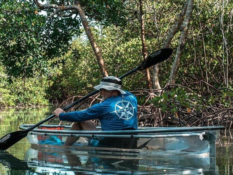 Clear Kayak Tours in Fort Pierce