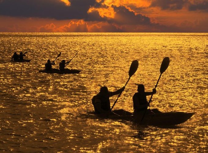 Sunset Kayak Tour of Manatee Bay