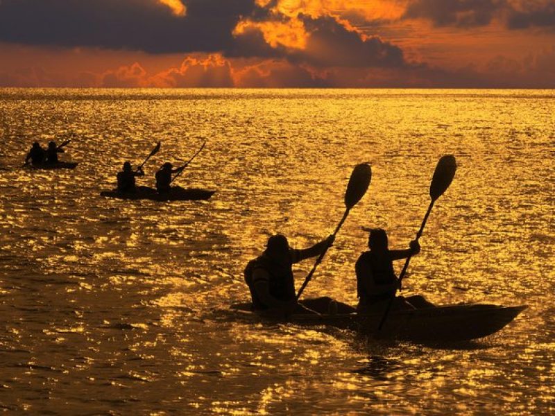 Sunset Kayak Tour of Manatee Bay