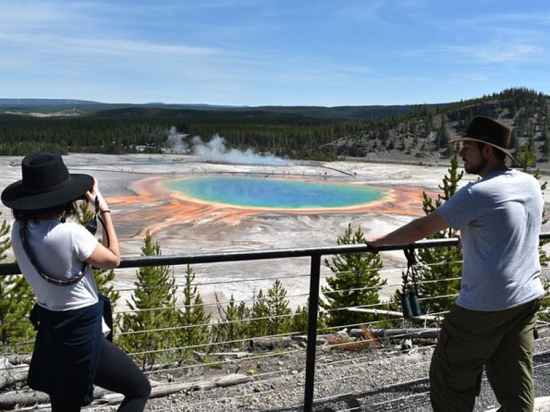 PRIVATE Yellowstone Tour 4 or more people- Picnic, Binoculars, Spotting Scope