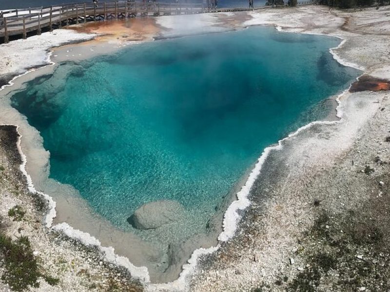 5 Person Full Day PRIVATE Yellowstone Tour- Picnic, Binoculars, Scope, Huge Van