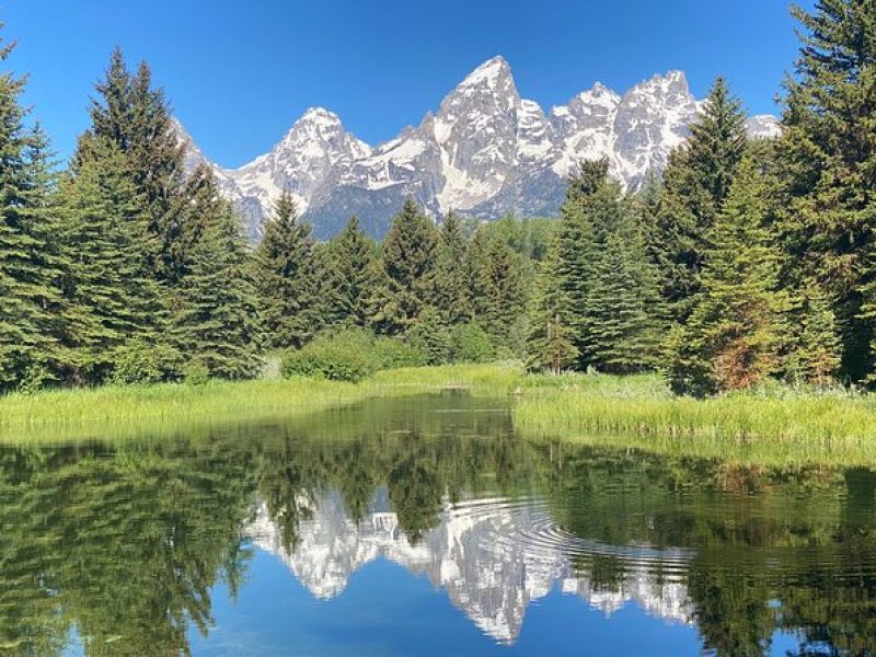 Private Full-Day Grand Teton National Park Tour with Picnic Lunch