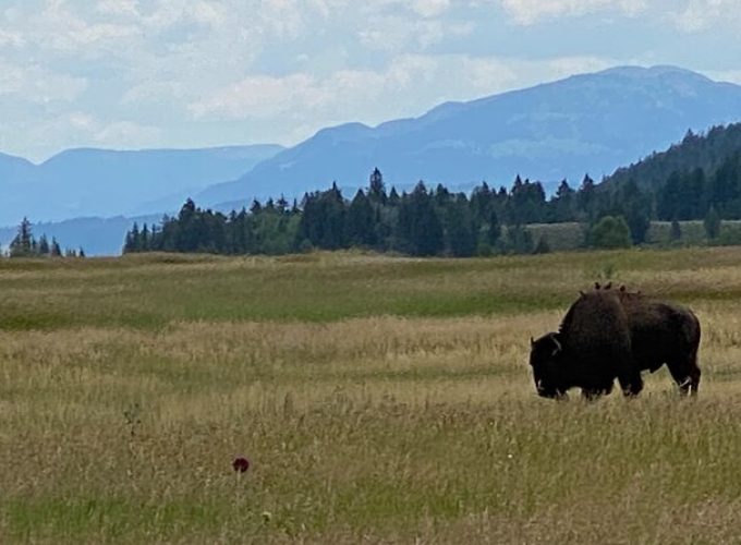 2-Person Grand Teton All-Day Private Tour