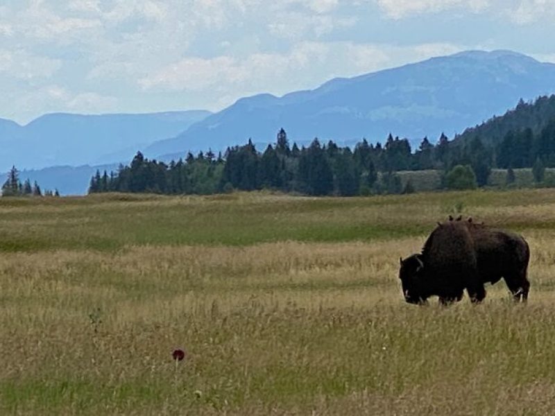 2-Person Grand Teton All-Day Private Tour