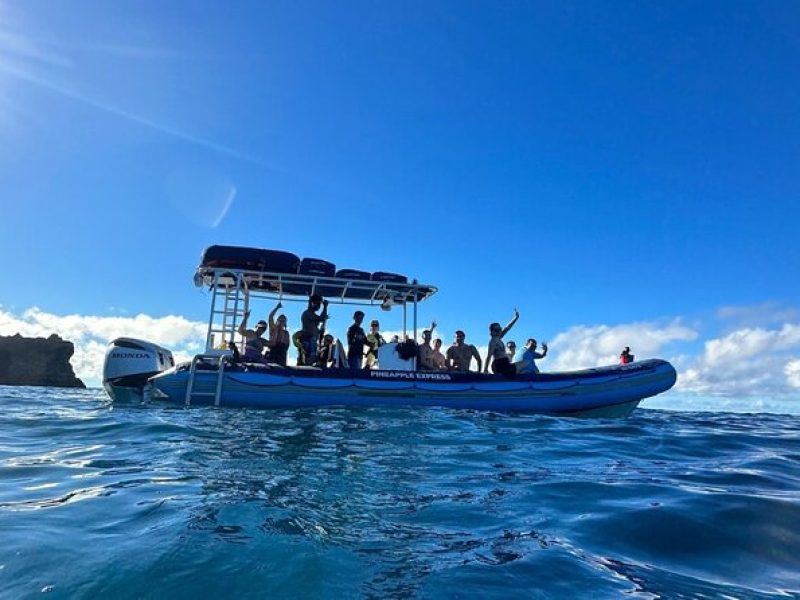 The Best 2 Hour Molokini Express Snorkeling