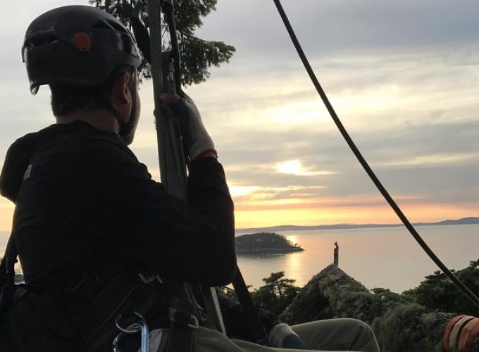 Sunset Canopy Climb on Lopez Island