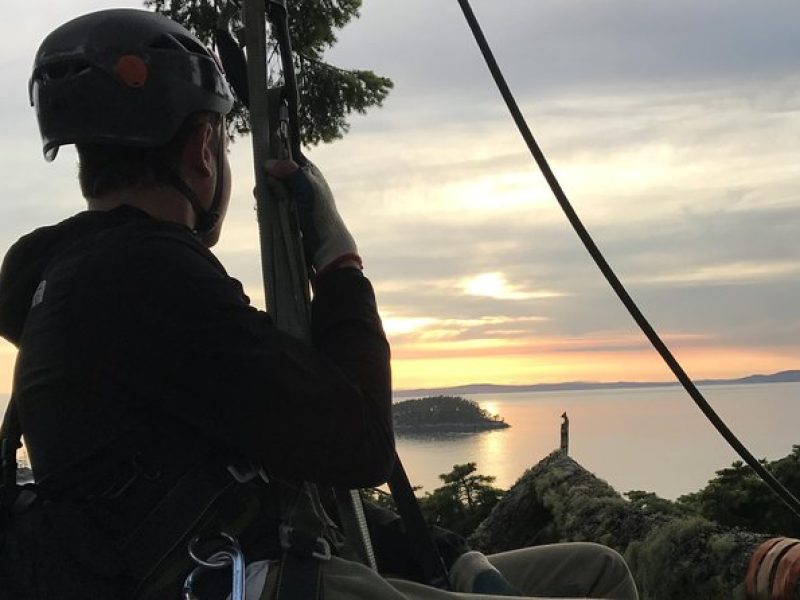 Sunset Canopy Climb on Lopez Island