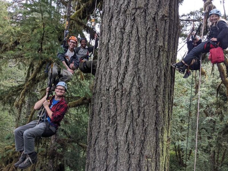 Old-Growth Tree Climbing at Silver Falls State Park