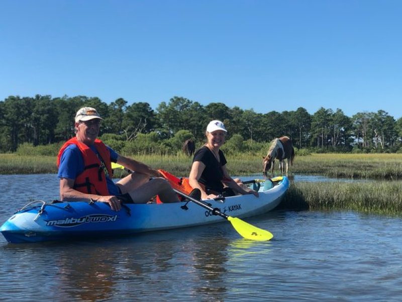 Guided Kayak Tour to see birds, ponies, dolphins and more!