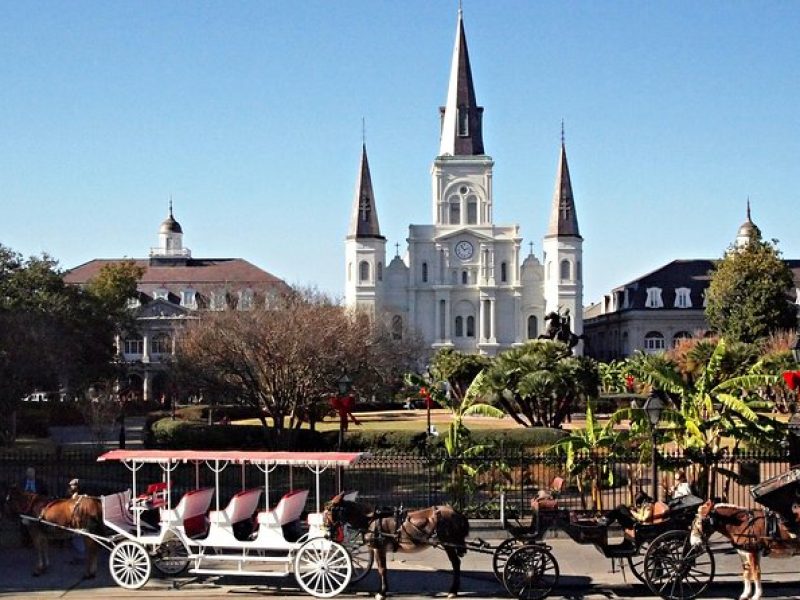 Private French Quarter Walking and City Surrounding Neighborhoods Driving Tour