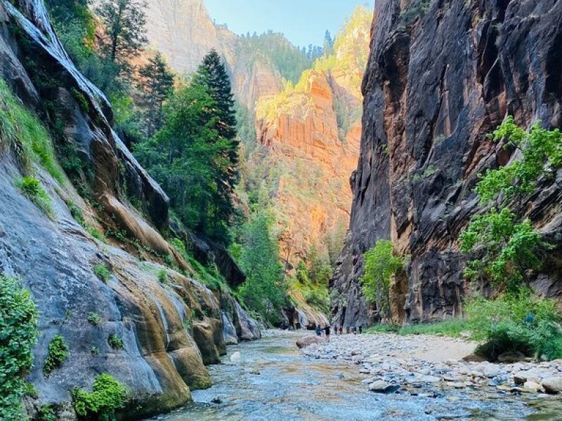 The Narrows: Zion National Park Private Guided Hike