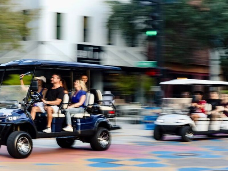 Guided St. Pete Sightseeing Tour in Deluxe Street Legal Golf Cart