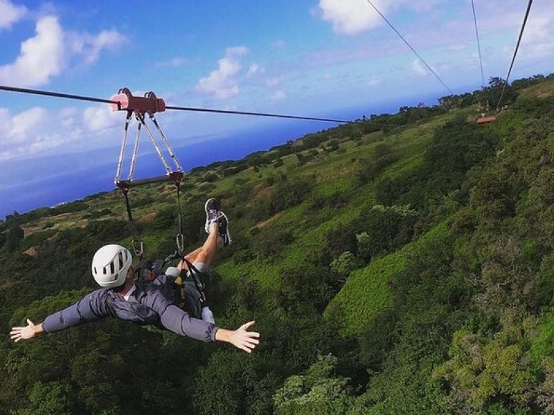 4 Dual-Zipline Mountain Adventure ~ Maui