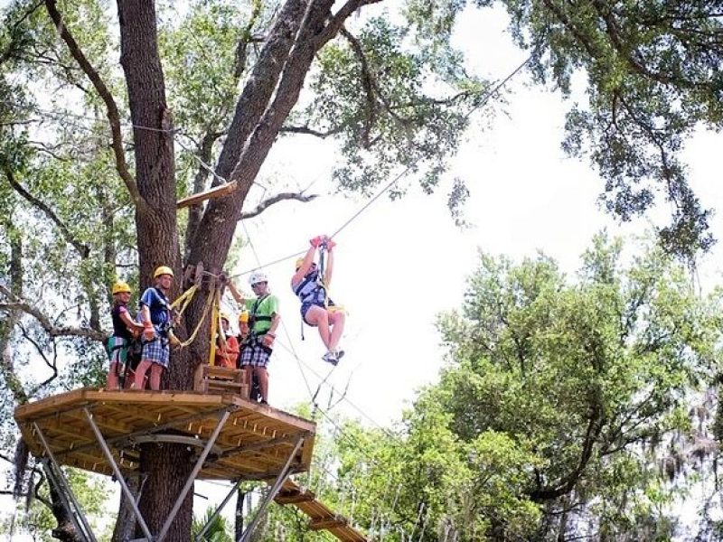 Treetop Express Zip Line Tour with 5 Zip Line Flights & 2 Sky Bridges Included