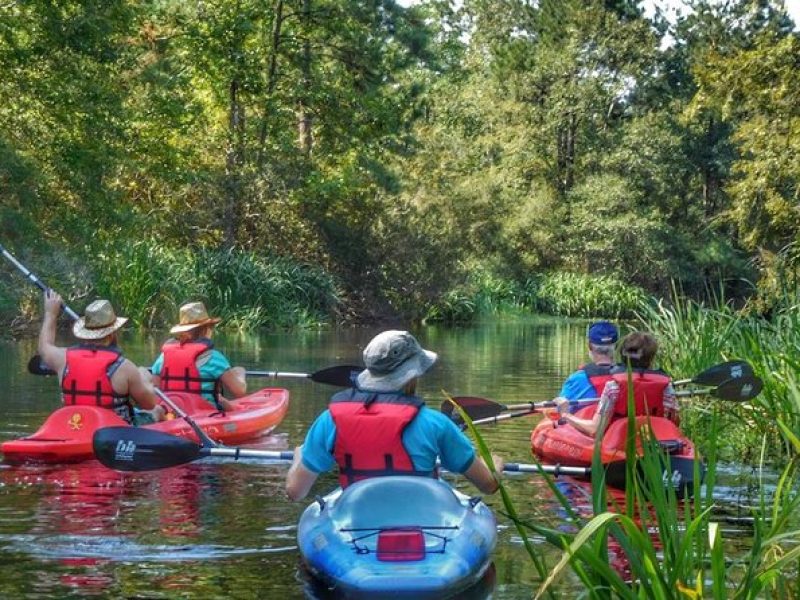 Kayak Swamp Tour with Transportation from New Orleans