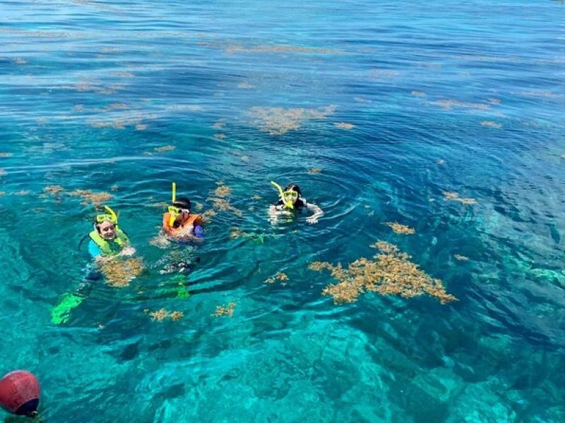 Half Day Snorkel Trip on Reefs in the Florida Keys