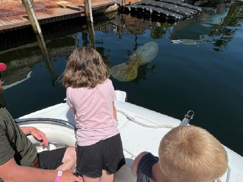 Small Group Florida Keys Eco Tour by Boat