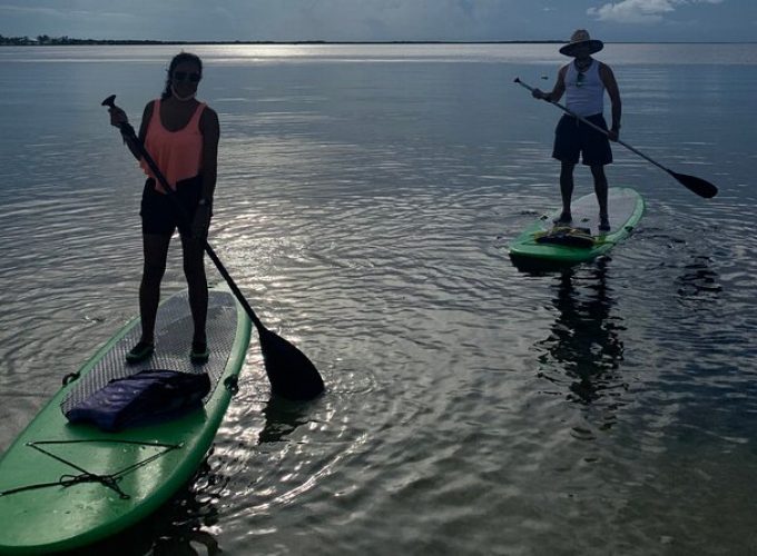 Key Largo 1 Hour Kayak or Paddle Board Rental