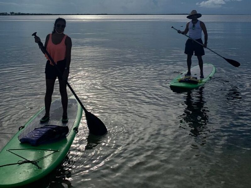 Key Largo 1 Hour Kayak or Paddle Board Rental