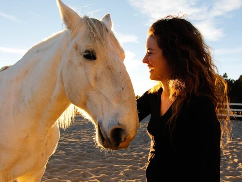 Leadership & Mindfulness Retreat with Horses – Individual & Group