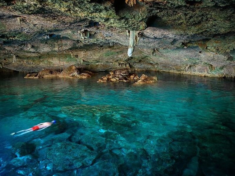 Dolphin, Sea Cave & Captain Cook / Kealakekua Bay Reef Snorkel