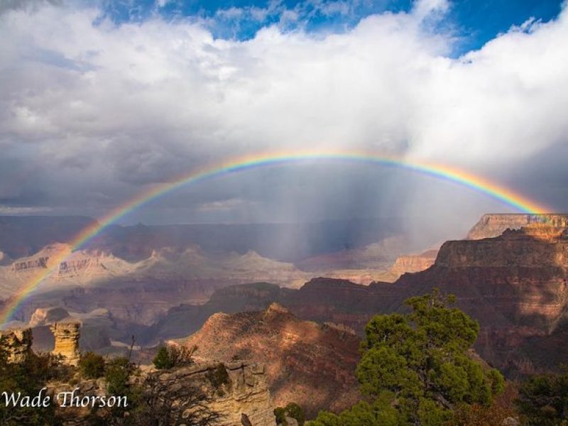 Private Grand Canyon Sightseeing Tour from Flagstaff