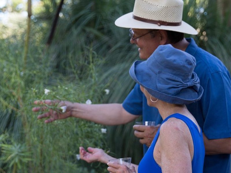 Ruth Bancroft Garden General Admission Ticket