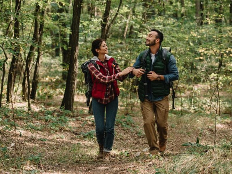 Blue Ridge Parkway Waterfalls: Hiking Tour from Asheville