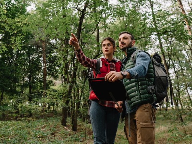 Denver’s Nature Escape: Rocky Mountain National Park