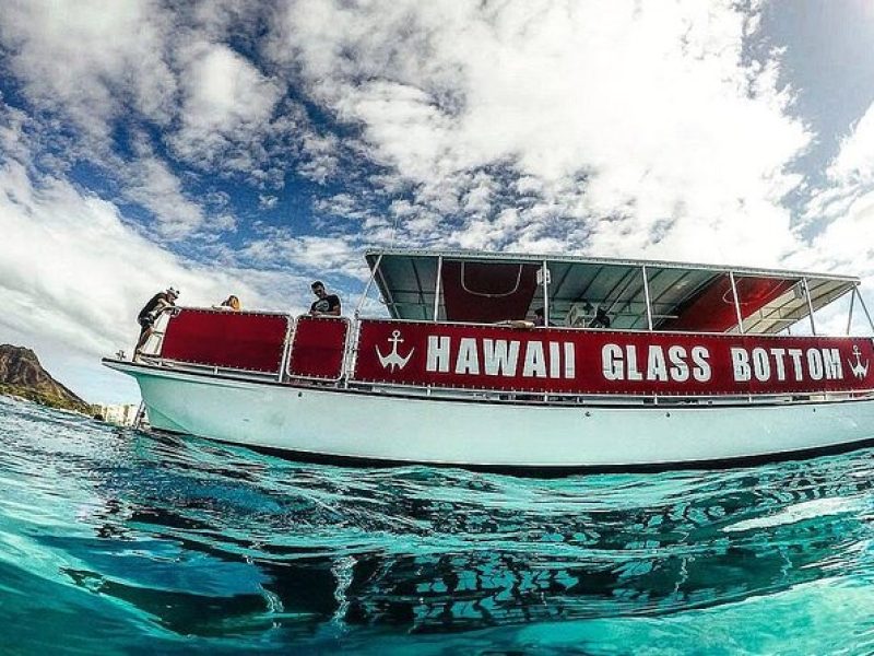 Morning Wildlife Cruise in Waikiki, Oahu