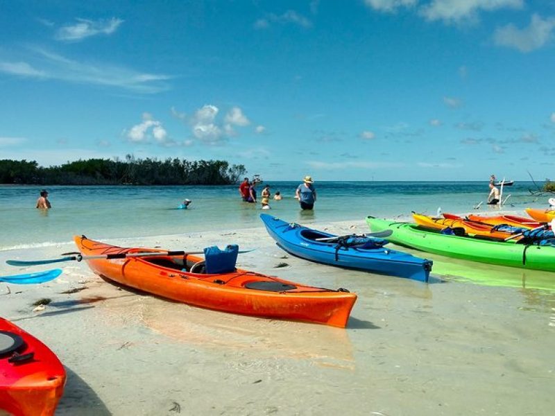 Kayak Adventure of Shell Key Preserve & Island with a Local