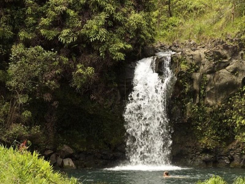 Waterfall and Rainforest Adventure