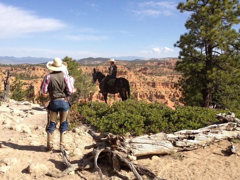 Horseback Riding Experience through Red Canyon with a Guide